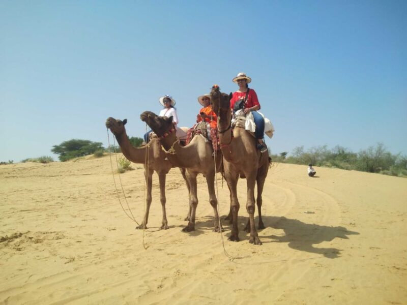 From Jodhpur: Guided Day Trip to Osian With Camel Safari - Key Points