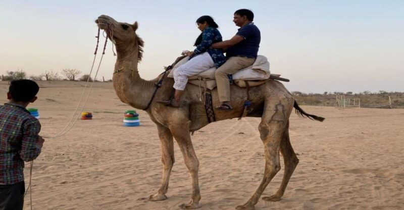 From Jodhpur: Half-Day Tour, Camel Ride, & Dinner in Osian - Itinerary Highlights