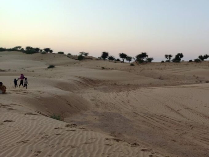 From Jodhpur: Half-Day Tour, Camel Ride, & Dinner in Osian - Cancellation Policy