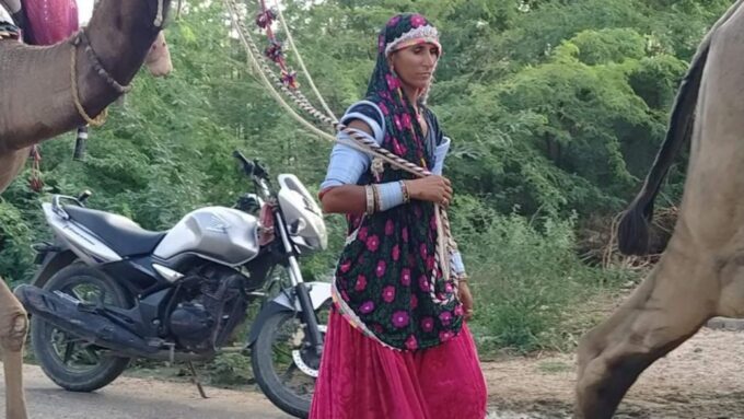 From Jodhpur: Half-Day Tour, Camel Ride, & Dinner in Osian - Frequently Asked Questions