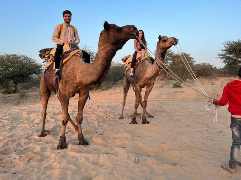 From Jodhpur : Overnight Stay In Desert - Inclusions
