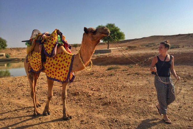 From Jodhpur : Overnight Stay In Desert With Camel Safari - Inclusive Dinner and Breakfast