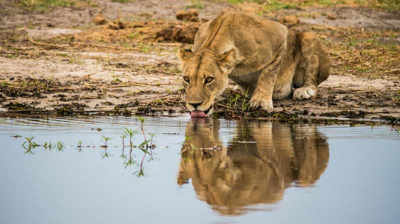 From Johannesburg: 3-Day Kruger National Park Safari - Transportation and Pickup Details