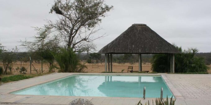 From Johannesburg: 3-Day Kruger National Park Safari - Wildlife Encounters