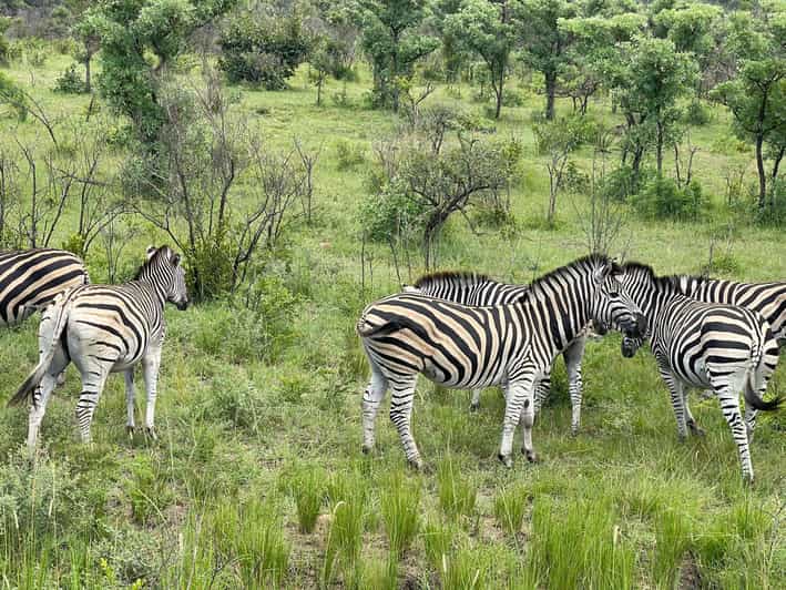 From Johannesburg : 3 Day Kruger Safari and Panorama Tour - Inclusions