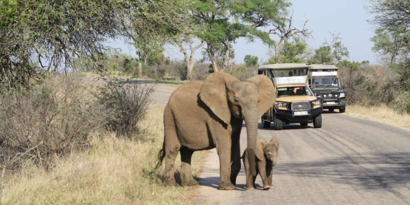 From Johannesburg : 3 Day Kruger Safari and Panorama Tour - Exclusions