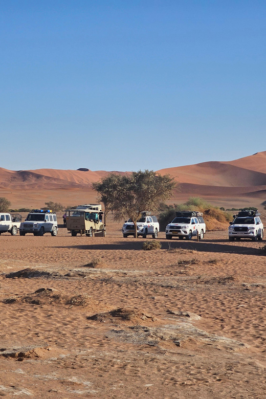 From Johannesburg: 3 Day Namibia Tour - Additional Details