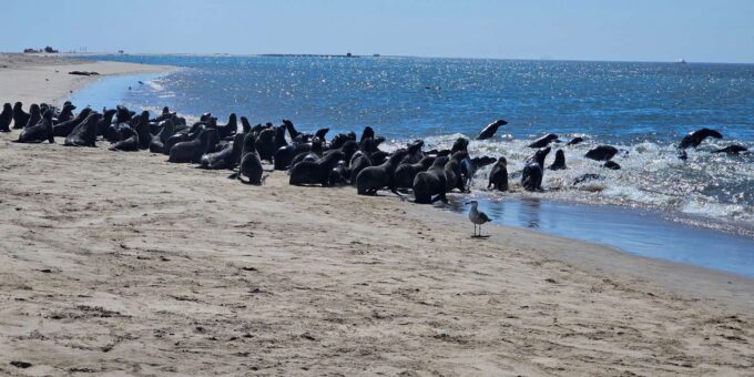 From Johannesburg: 3 Day Namibia Tour - Frequently Asked Questions