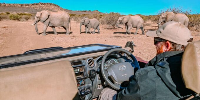 From Johannesburg : 4 Day Madikwe Reserve Luxury Safari - Frequently Asked Questions