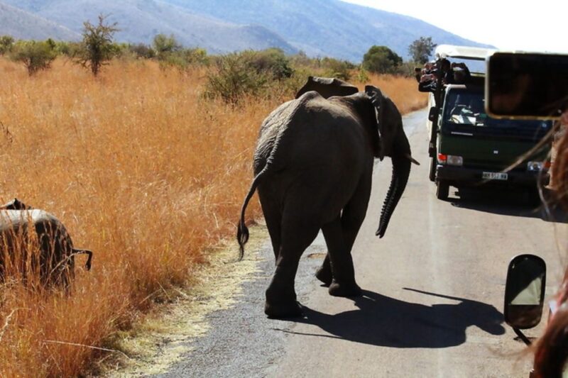 From Johannesburg: 5-Day Johannesburg and Cape Town Tour - Cape Town Arrival and Exploration