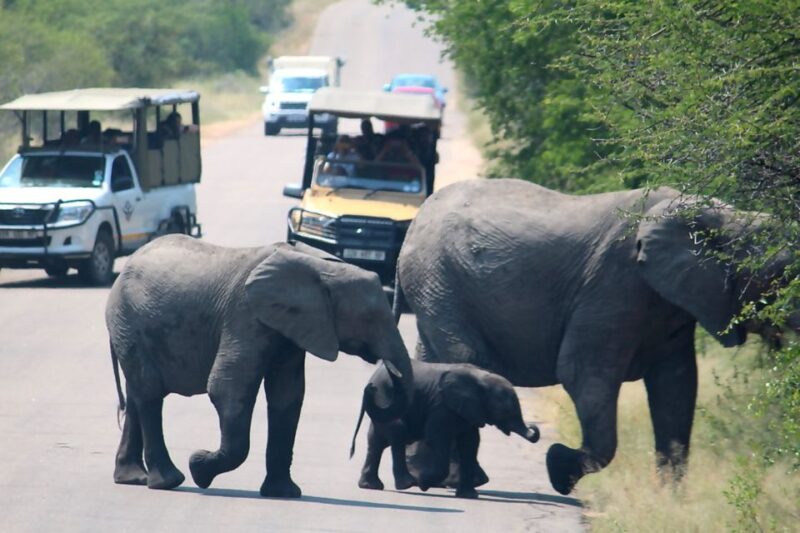 From Johannesburg: 5-Day Johannesburg and Cape Town Tour - Cape Peninsula Adventure