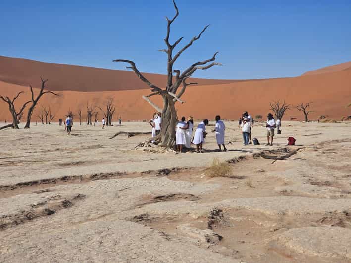 From Johannesburg : 6 Day Namibia Tour - Key Points