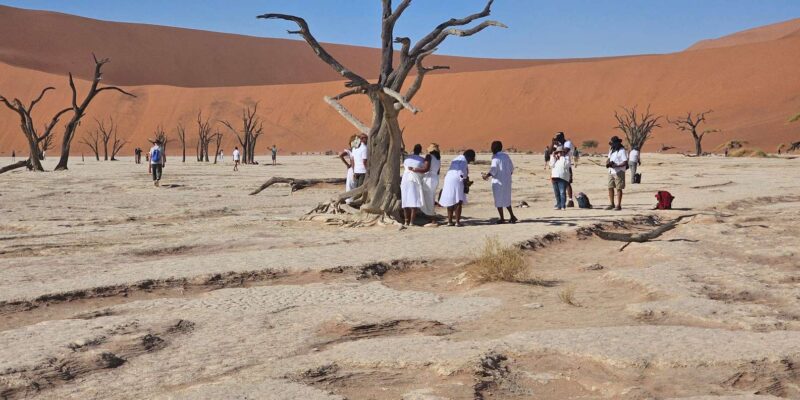 From Johannesburg : 6 Day Namibia Tour - Activities and Experiences