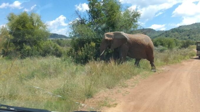 From Johannesburg: 7-Day Kruger National Park Tour - Inclusions, Exclusions, and Booking