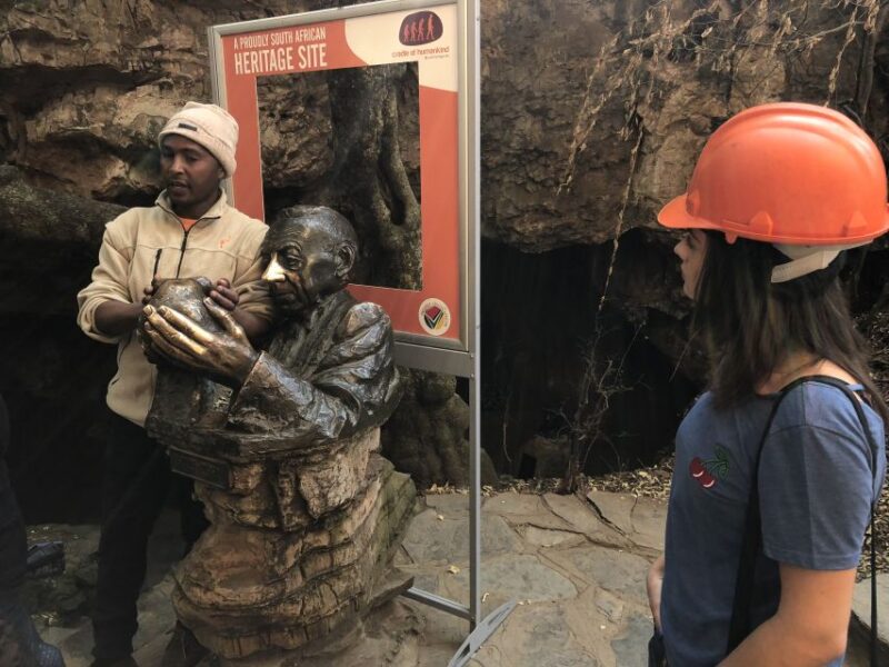 From Johannesburg: Cradle of Humankind and Lion Safari - Key Points