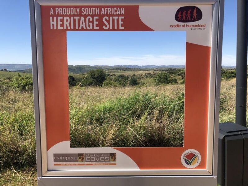 From Johannesburg: Cradle of Humankind and Lion Safari - Maropeng Visitor Center Highlights