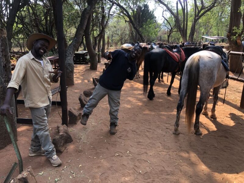 From Johannesburg: Horse-Riding Safari and Cable Car Tour - Key Points