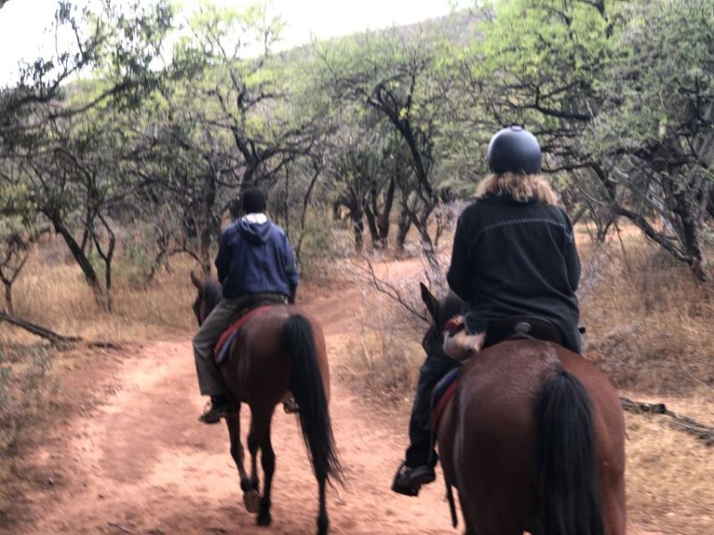 From Johannesburg: Horse-Riding Safari and Cable Car Tour - Pickup and Drop-off