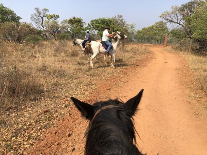 From Johannesburg: Horse-Riding Safari and Cable Car Tour - Tour Exclusions