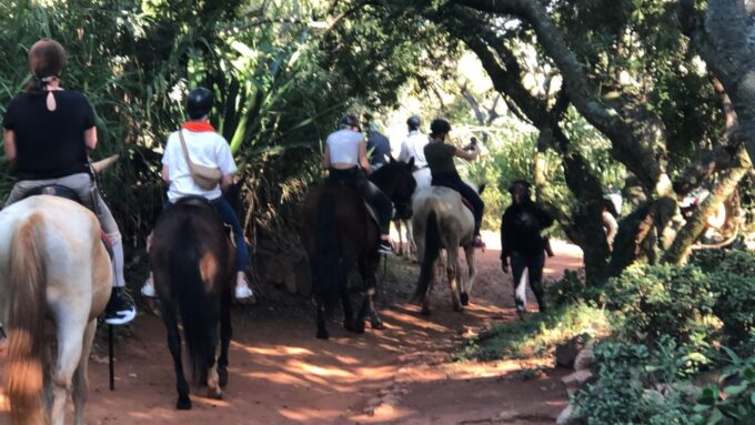 From Johannesburg: Horse-Riding Safari and Cable Car Tour - Tour Duration