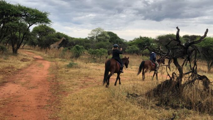 From Johannesburg: Horse-Riding Safari and Cable Car Tour - Frequently Asked Questions