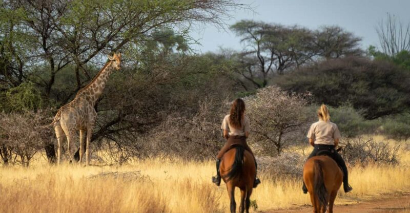 From Johannesburg: Horse-Riding Safari - Key Points