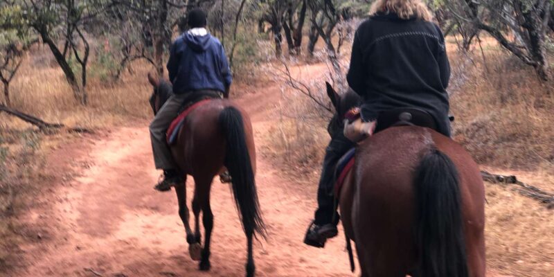 From Johannesburg: Horse-Riding Safari - Horseback Safari Duration and Group Size