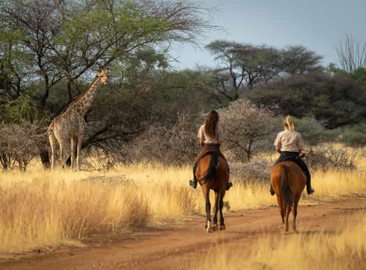 From Johannesburg: Horse-Riding Safari - Pricing and Booking Options