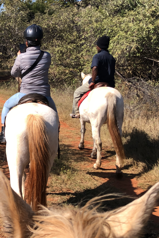 From Johannesburg: Horse-Riding Safari - Pickup Locations and Transportation