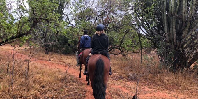 From Johannesburg: Horse-Riding Safari - Scenic Magaliesberg Mountain Views
