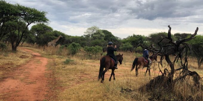 From Johannesburg: Horse-Riding Safari - Frequently Asked Questions