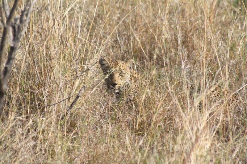 From Johannesburg: Kruger 4 Days Safari - Itinerary Breakdown