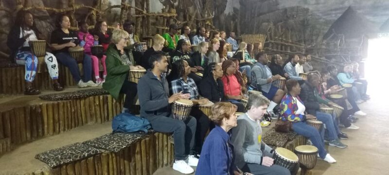 From Johannesburg: Lesedi Cultural Village & Lion Park Tour - Itinerary