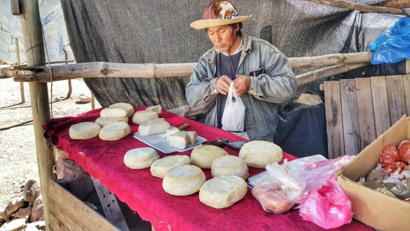 From Jujuy: Day Trip to Quebrada De Humahuaca - Itinerary and Highlights