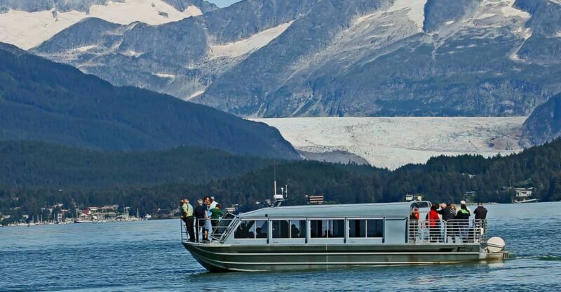 From Juneau: Whale Watching Cruise with Snacks - An In-Depth Look at the Juneau Whale Watching Experience