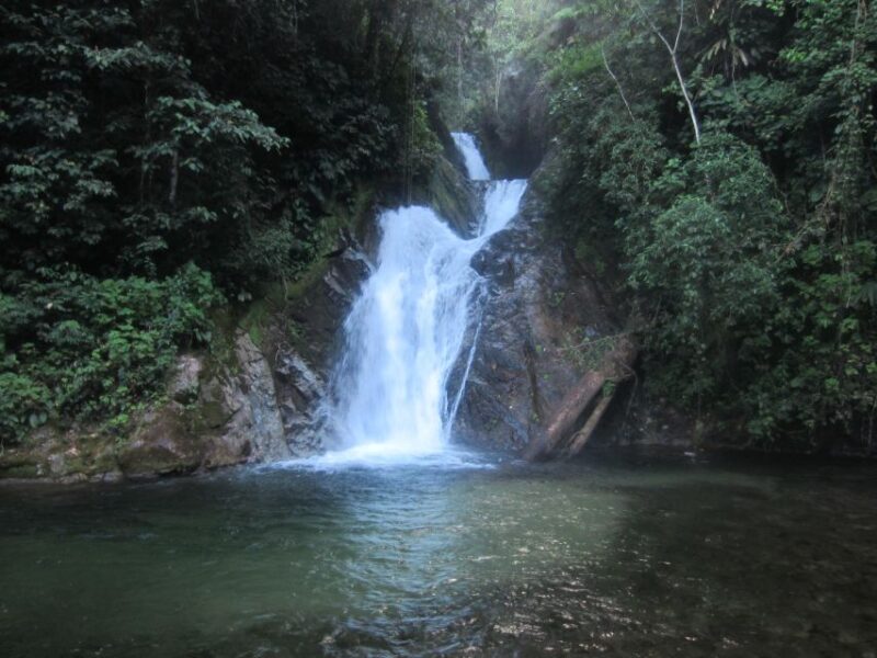 From Junín: San Andrés Full-Day Tour - Activities and Experiences