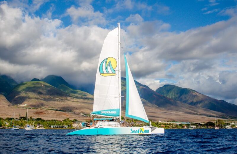 From Kaanapali: Afternoon West Maui Snorkeling & Sea Turtles - Key Points