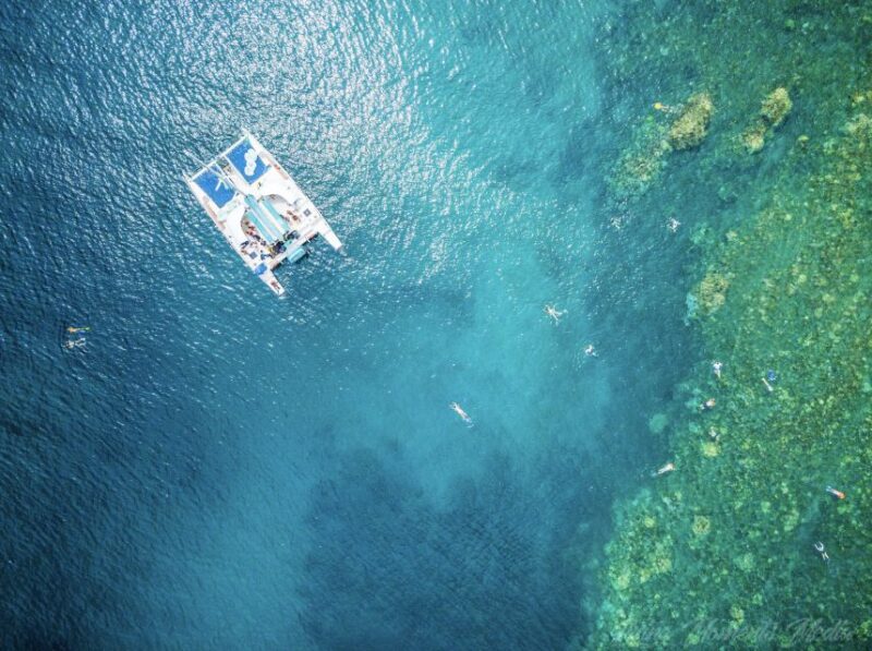 From Kaanapali: Afternoon West Maui Snorkeling & Sea Turtles - Weather Considerations