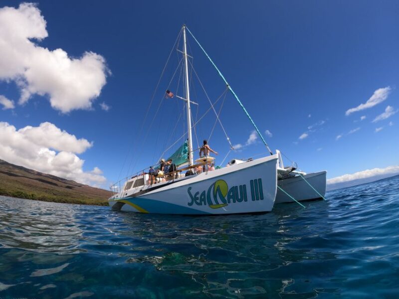 From Kaanapali Beach: West Maui Half-Day Snorkel Adventure - Inclusions