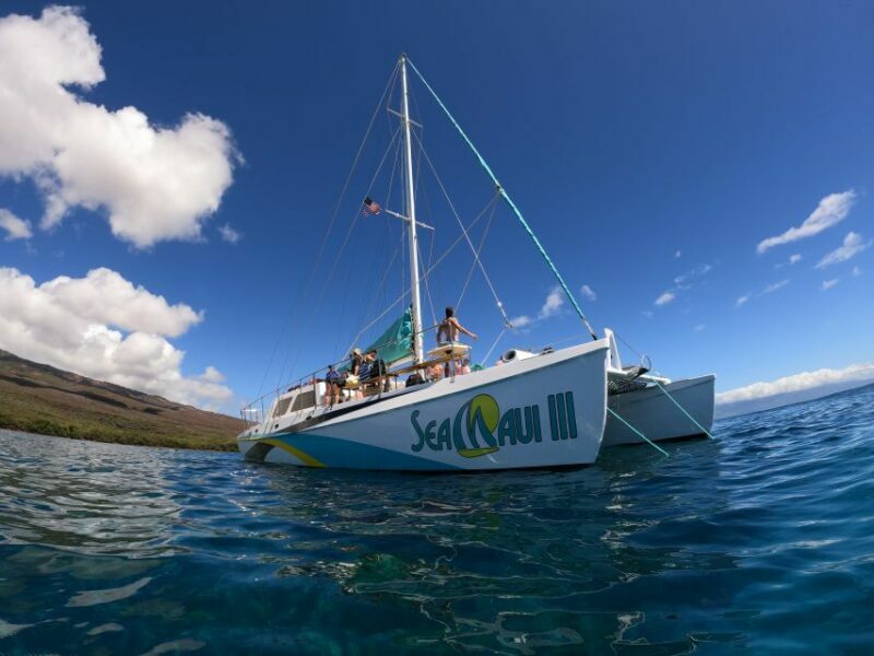 From Ka'anapali: West Maui Half-Day Snorkel Tour w/ Food - An Authentic Maui Experience on the Water