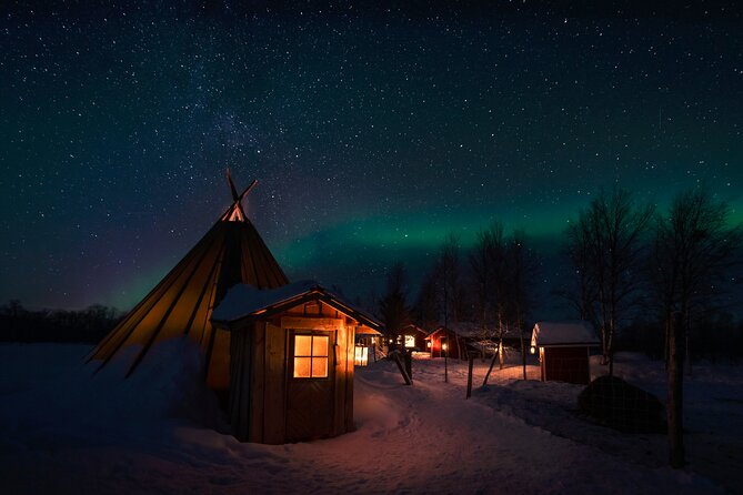 From Kakslauttanen:Northern Lights Tour to Lake Inari, Inc Dinner - Health and Accessibility