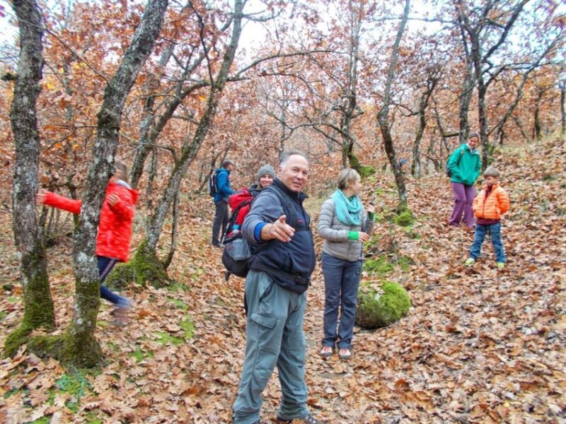From Kalabaka: Authentic Meteora Hiking Tour - Local Agency - Experience Highlights