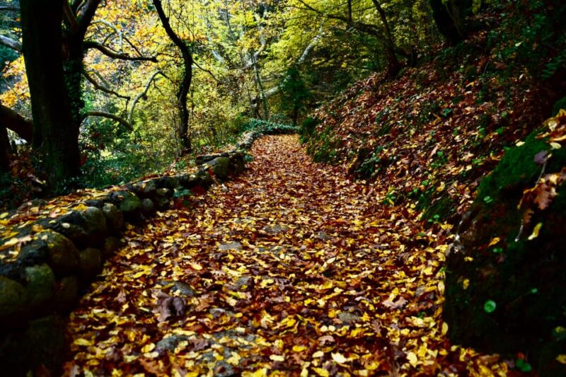 From Kalabaka: Guided Hiking Tour in Meteora - Pricing and Duration