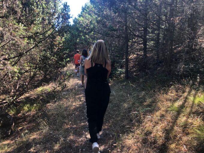 From Kalamata: Day Trip With Wine & Food Tasting in Arcadia - Cheese, Rusks, and Olives