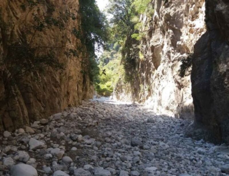 From Kalamata: Ridomo Gorge Hiking Tour With Beach Swim - Inclusions