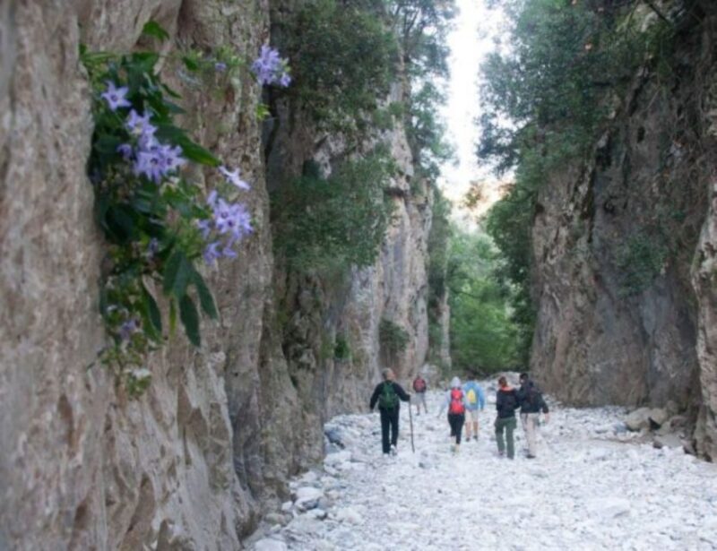From Kalamata: Ridomo Gorge Hiking Tour With Greek Coffee - Hiking Experience