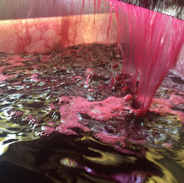 From Kalamata: Wine Tour & Tasting With Optional Lunch - Wine Tasting at the Winery