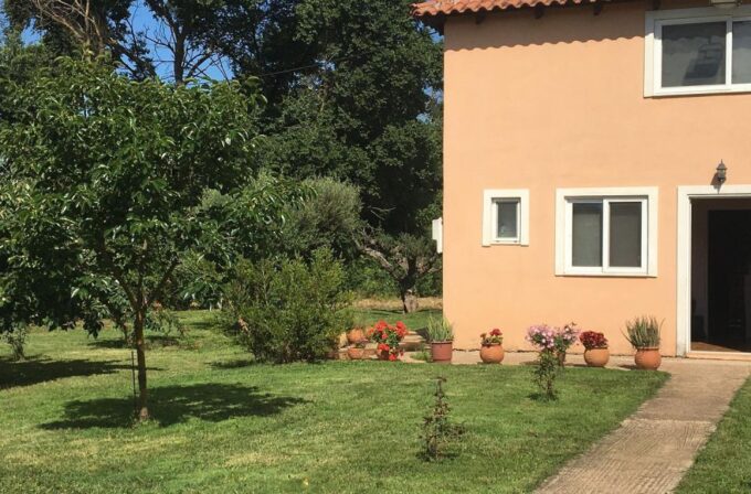 From Kalamata: Wine Tour & Tasting With Optional Lunch - Frequently Asked Questions