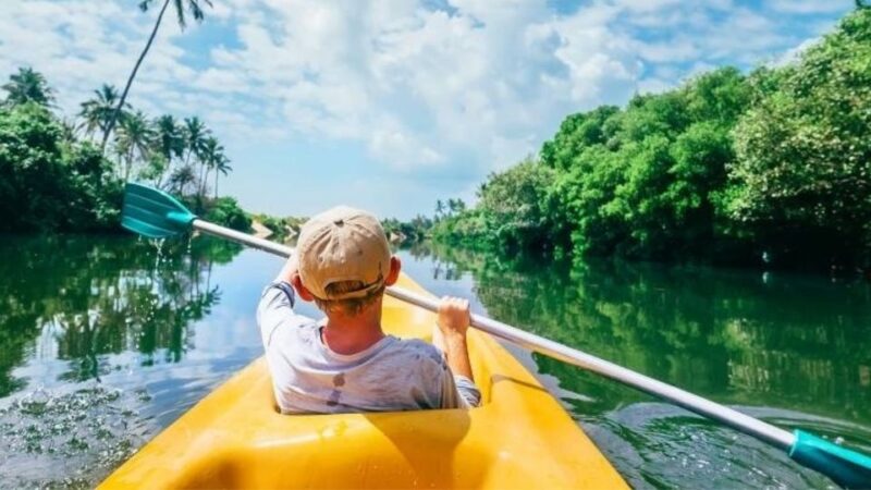 From Kalutara: Bentota Day Tour and Hikkaduwa Beach Tour - Turtle Hatchery, Kosgoda