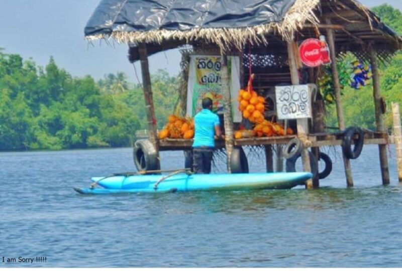 From Kalutara: Galle Dutch Fort & Madu River Safari Tour - Important Information